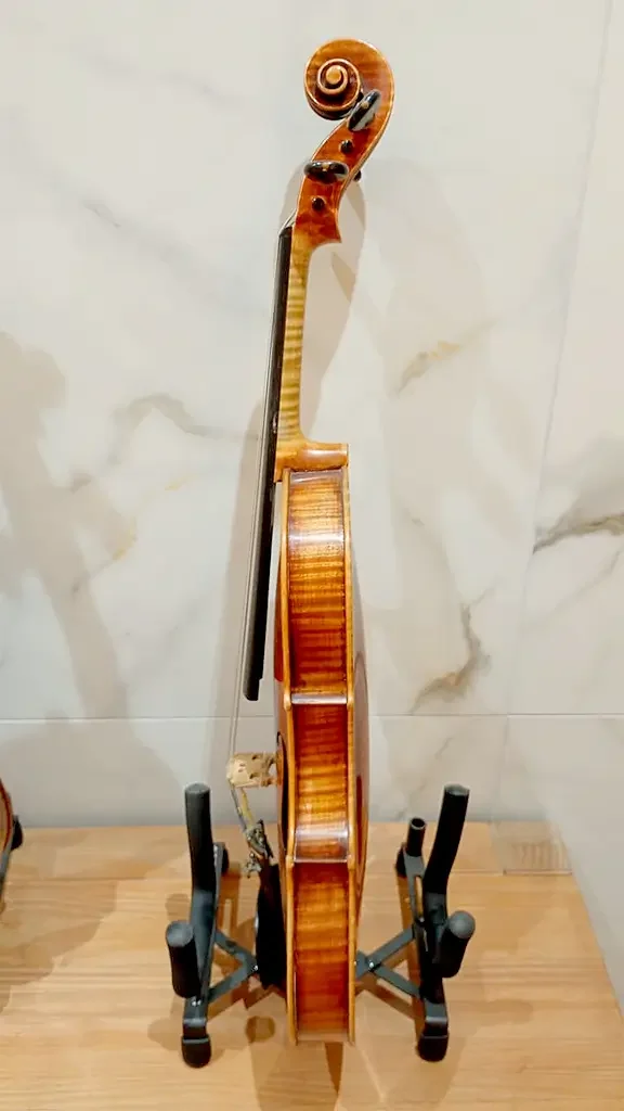 Violino-Ivan-Labussiere-ano-2010-lateral