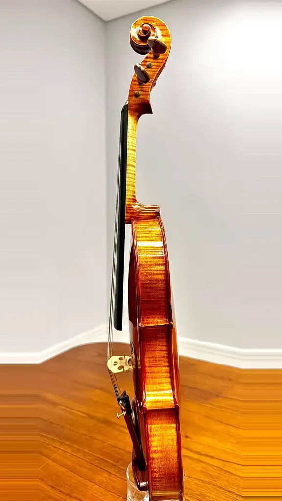 Violino-Roger-Silva-2022-lateral