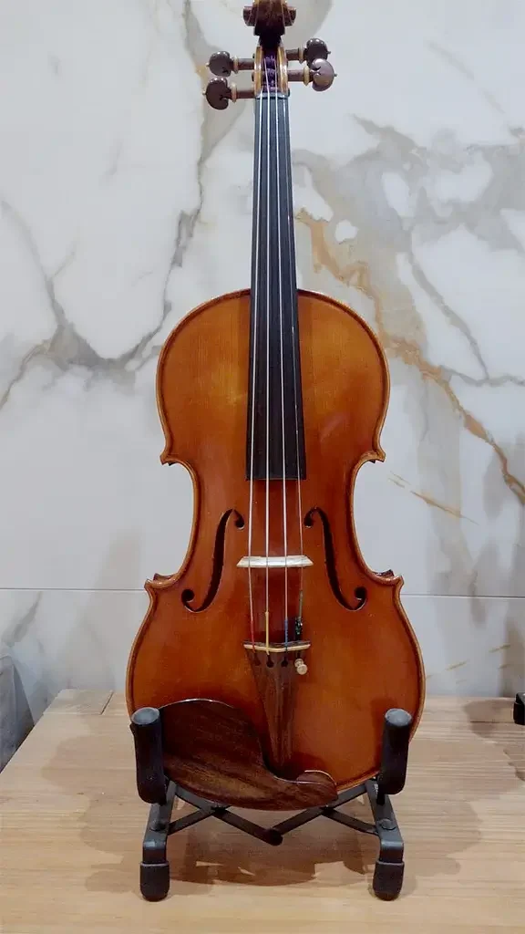 Violino-Roger-Silva-Escuro-2022-frente