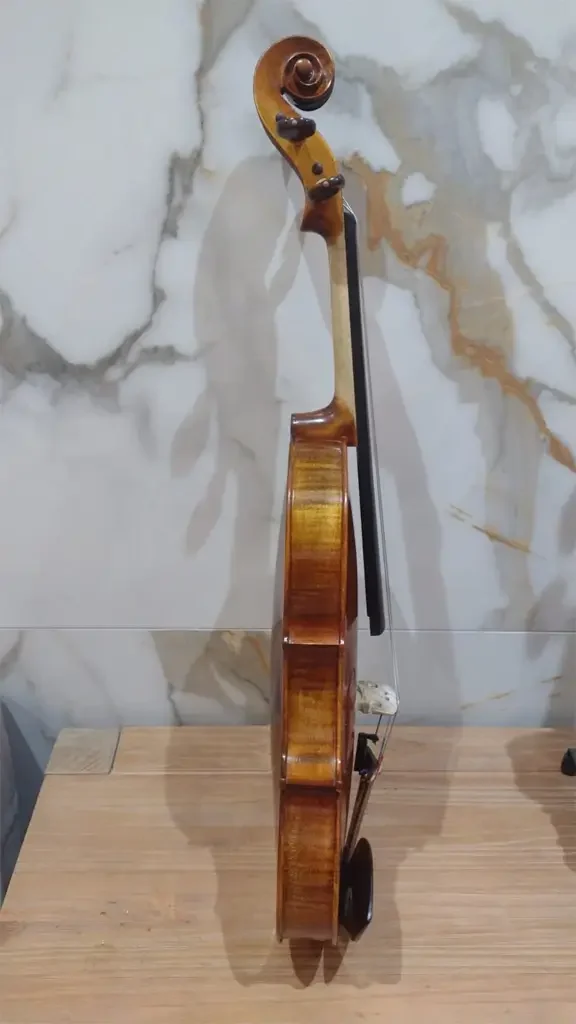 Violino-Roger-Silva-Escuro-2022-lateral