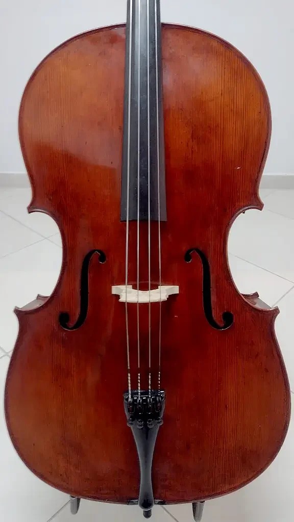 Violoncelo-Montagnana-frente